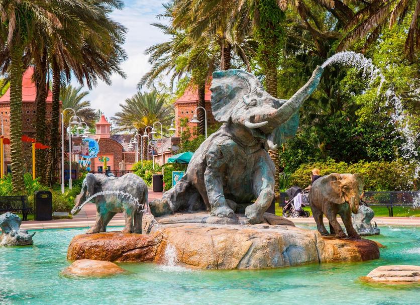 Attractions Photo