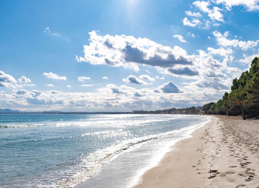 Beach Photo